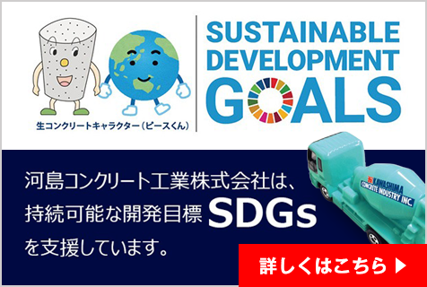 SDGs